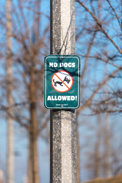 Foto close-up van een verkeersbord tegen kale bomen