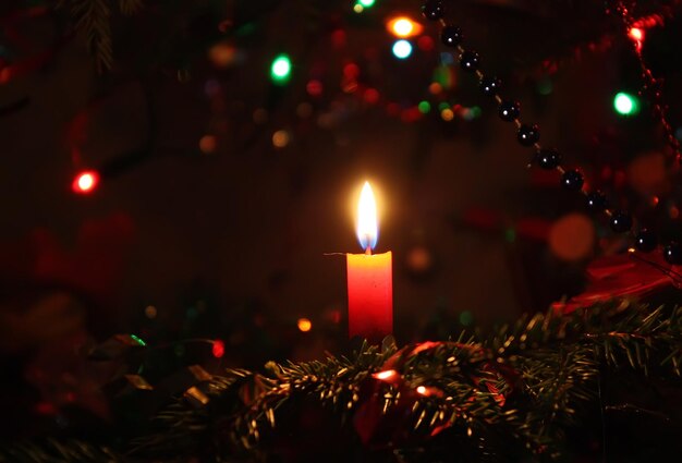 Foto close-up van een verlichte kerstboom's nachts