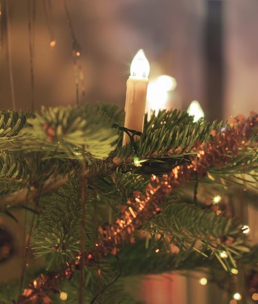 Close-up van een verlichte kerstboom's nachts