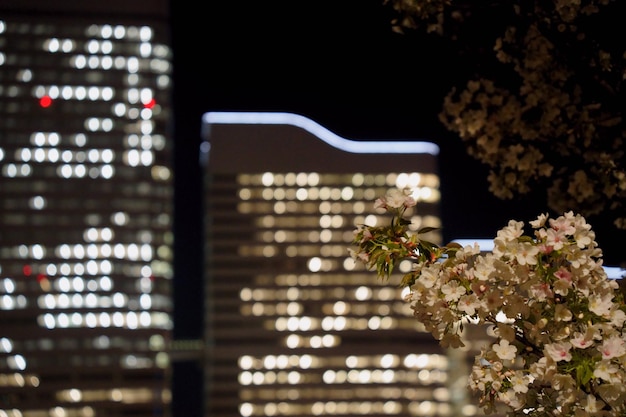 Foto close-up van een verlichte kerstboom