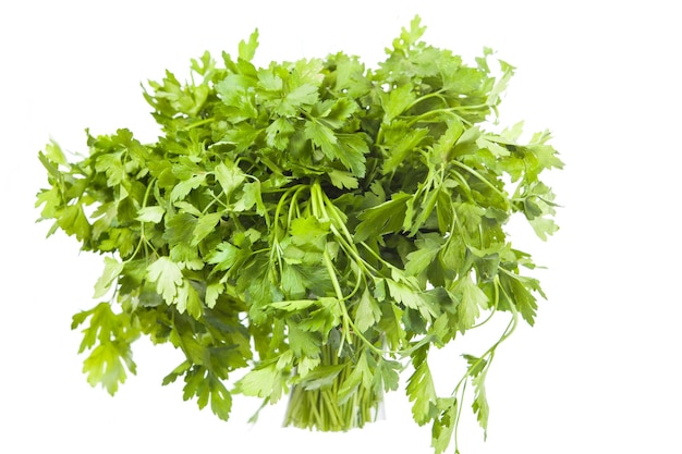 Close-up van een verse groene plant tegen een witte achtergrond