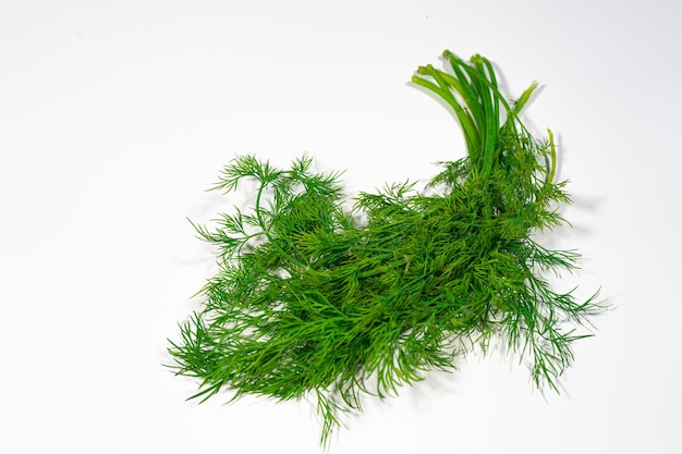 Close-up van een verse groene plant tegen een witte achtergrond