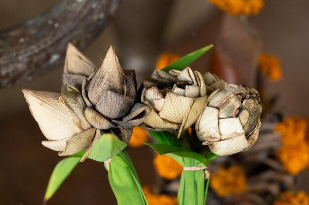 Foto close-up van een verwelkte bloem op een plant