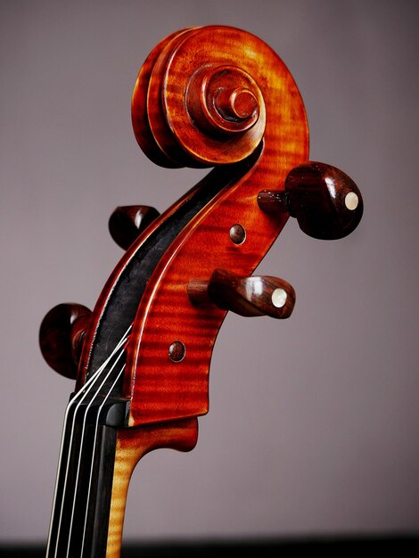 Foto close-up van een violoncello