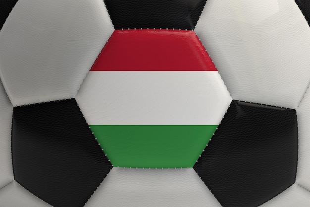 Close up van een voetbal met Hongarije vlag 3D-Rendering