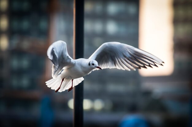 Close-up van een vogel die buiten vliegt