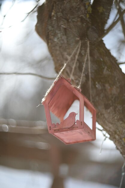 Close-up van een vogelvoeder op een boom onder de sneeuw in het bos