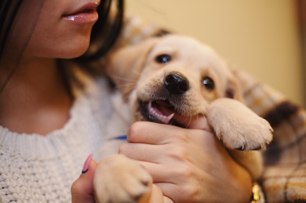 Close-up van een vrouw die een hond vasthoudt