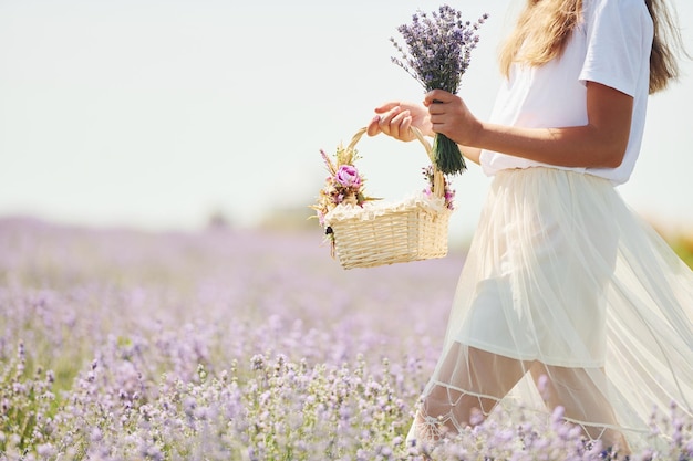 Close-up van een vrouw in een mooie witte jurk die een mand gebruikt om lavendel in het veld te verzamelen