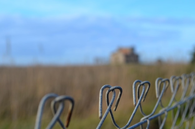 Foto close-up van een wazige achtergrond