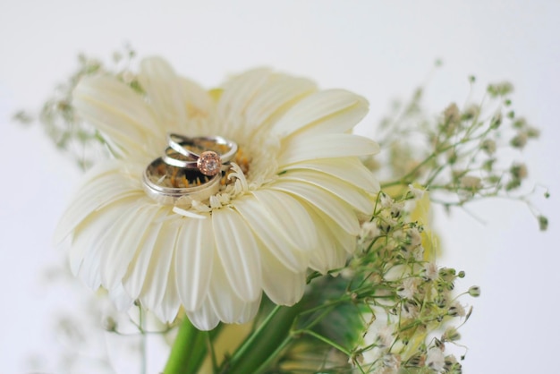 Close-up van een witte bloeiende plant