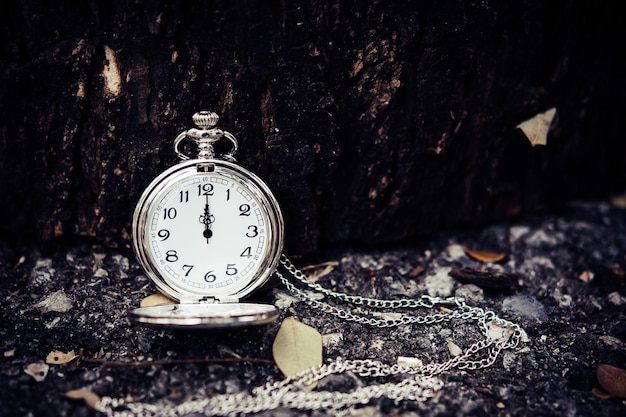 Foto close-up van een zakhorloge