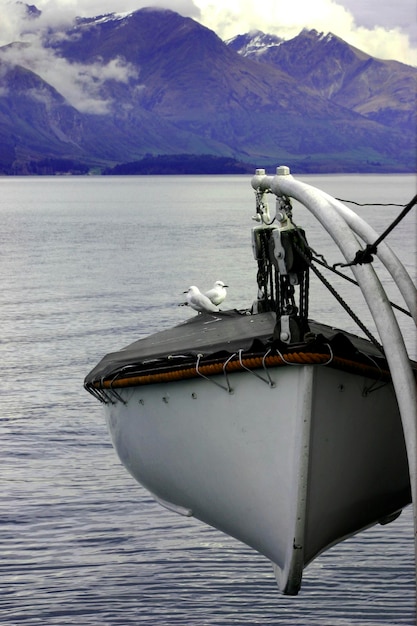 Foto close-up van een zwanenboot op zee tegenover bergen