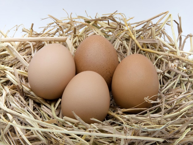 Close-up van eieren in het nest