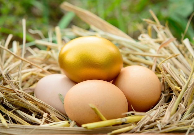 Foto close-up van eieren in het nest