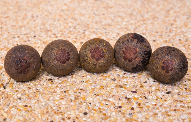 Foto close-up van eieren op het zand