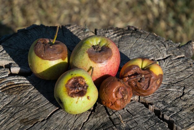 Foto close-up van fruit op tafel