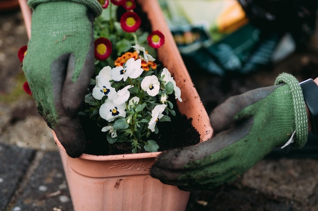 Foto close-up van geknipte handen die bloemen planten in de tuin