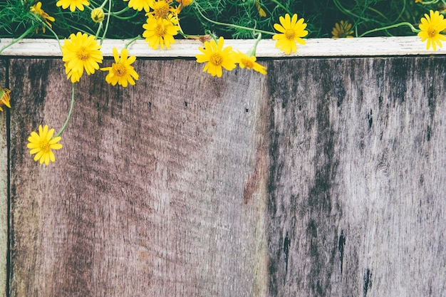 Close-up van gele bloemen die bloeien op een houten steunmuur