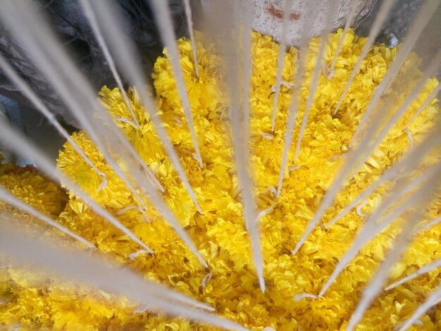 Foto close-up van gele bloemenkrans te koop
