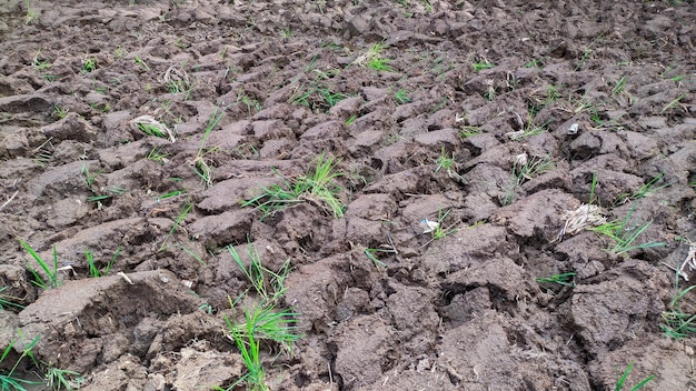 close-up van geploegd akkerland in een veld