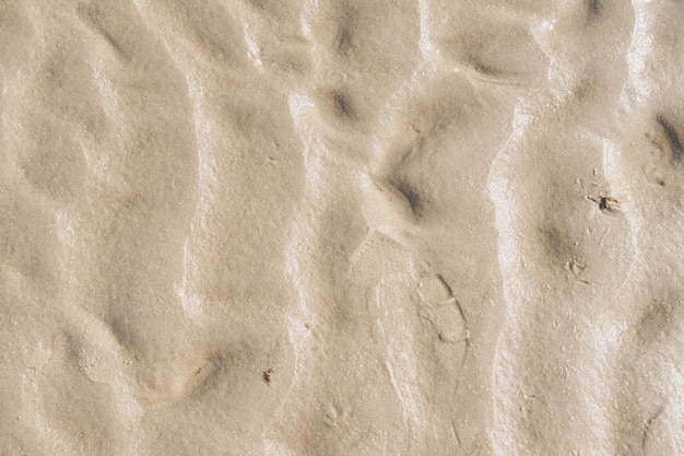 Close-up van gestructureerd bruin oppervlak met copyspace Details en patronen van zand of grond met copyspace Zoom in op vormen in de zandtextuur en ruwe oppervlakteniveau vloeren abstracte achtergrond