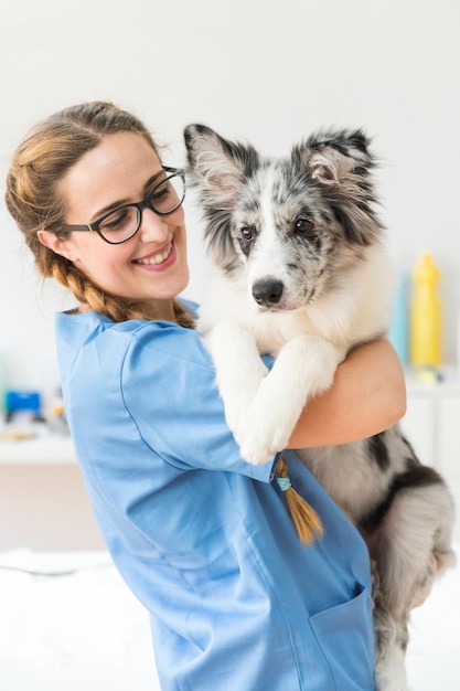 Foto close-up van glimlachende jonge vrouwelijke dierenarts die de hond in kliniek vervoeren