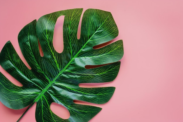Close-up van groene bladeren