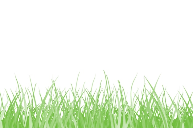 Close-up van groene grasbladeren tegen een witte achtergrond