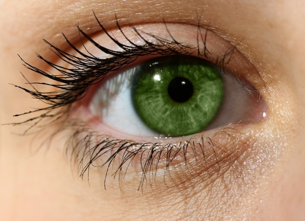 Close-up van groene ogen