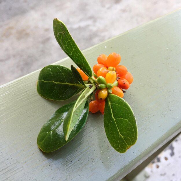 Foto close-up van groenten op tafel