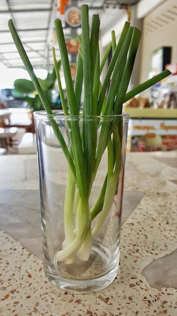 Foto close-up van groenten op tafel