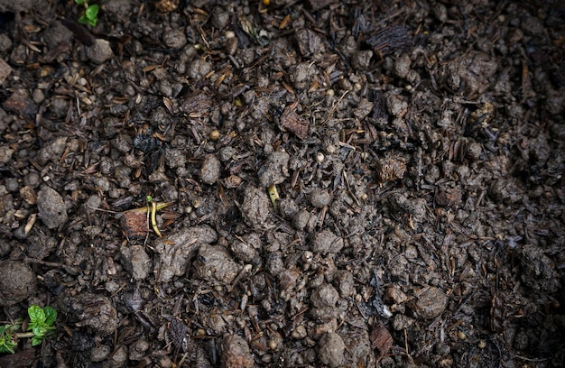 Close-up van grond klaar om te planten