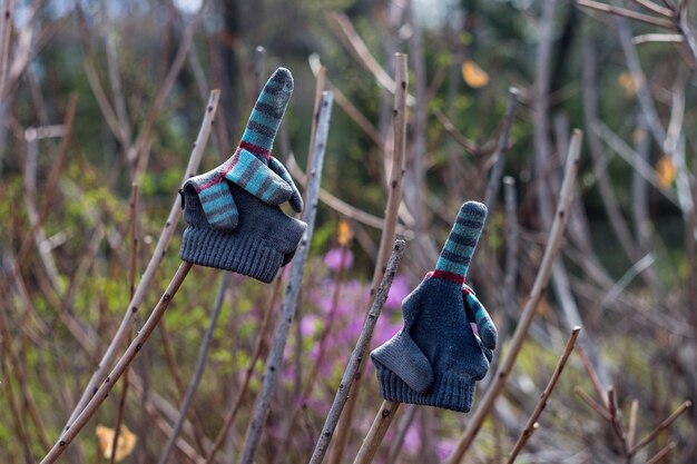 Foto close-up van handschoenen op planten