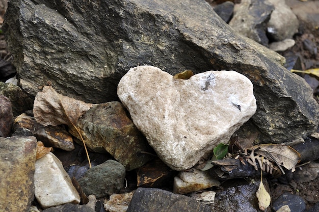 Close-up van hartvormige natuursteen in een rivier