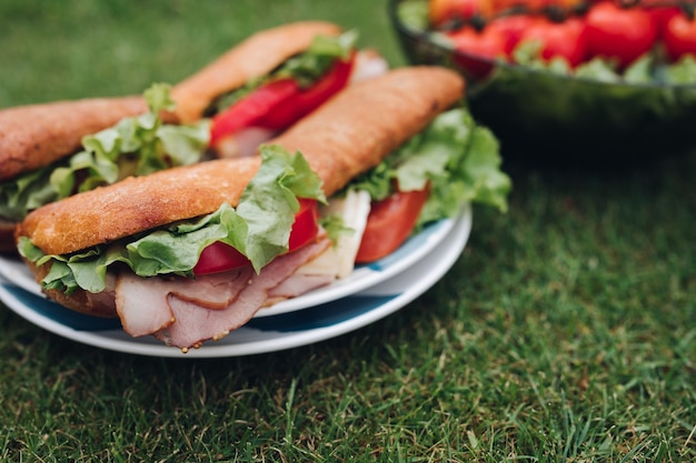 Close-up van heerlijke zelfgemaakte sandwiches gemaakt met salade, rode tomaten, gesneden vleeswaren en brood geserveerd op het bord op groen zomergras.