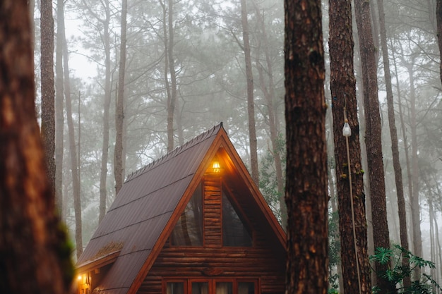 Close-up van het dak van het huis tegen bomen in het bos