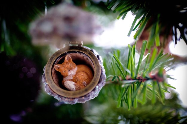 Foto close-up van het decor op de kerstboom