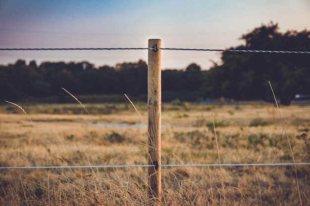 Foto close-up van het hek op het veld