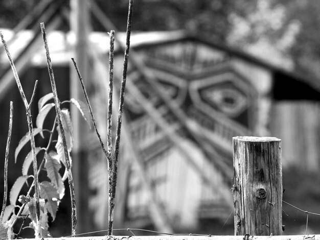 Foto close-up van het hek tegen planten