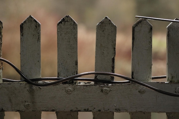 Close-up van het hek