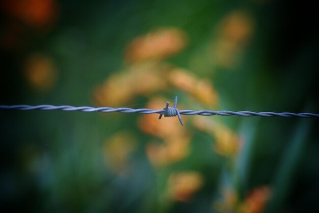 Close-up van het kettinghek