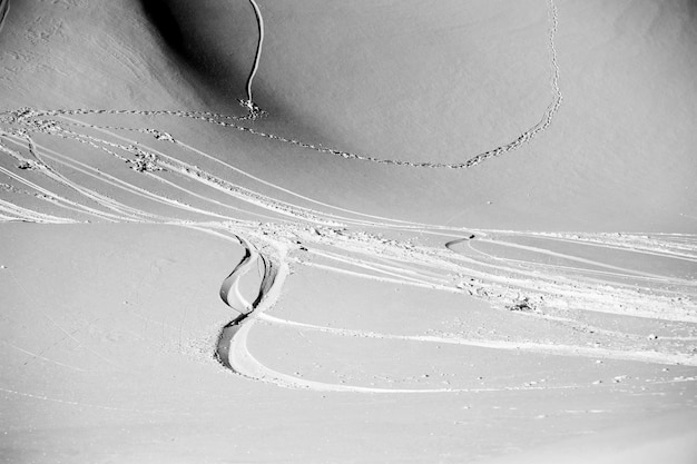 Foto close-up van het landschap