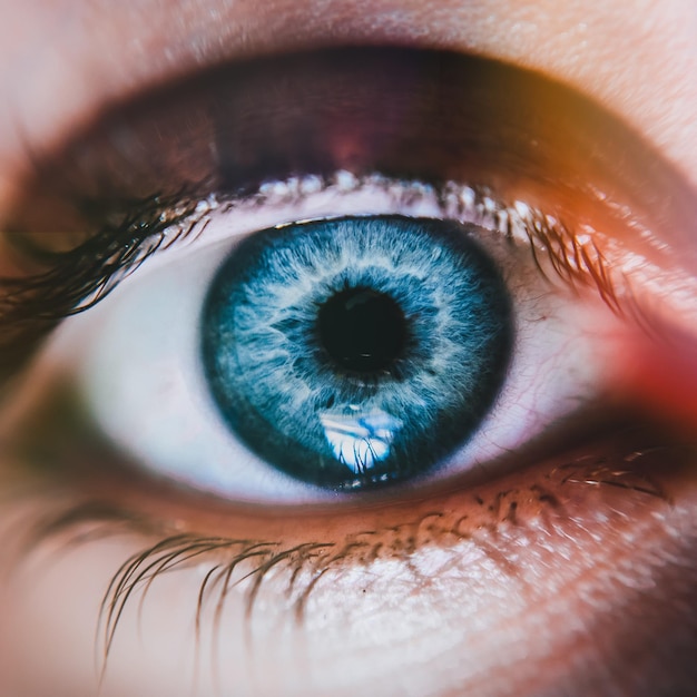Close-up van het menselijk oog