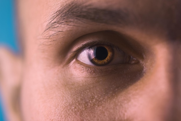 Close-up van het menselijk oog