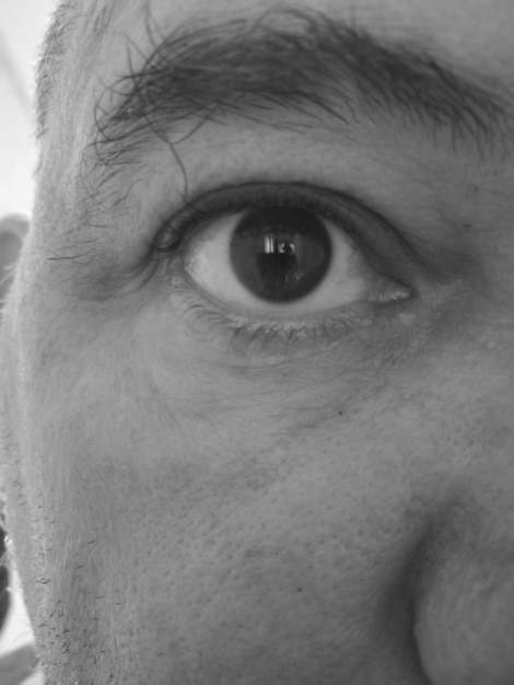 Foto close-up van het oog