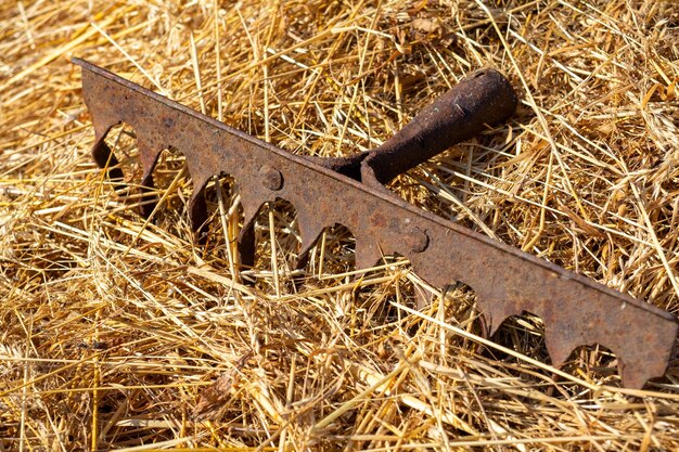 Close-up van het oude roestige metalen deel van de hark die op het gele hooi ligt