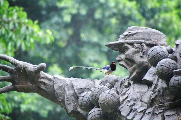 Foto close-up van het standbeeld tegen een boom