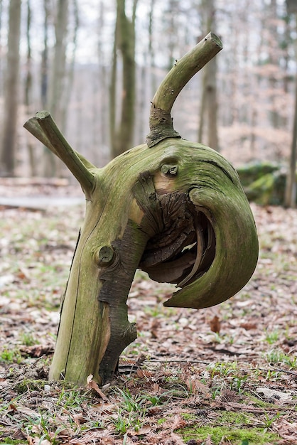 Close-up van het standbeeld