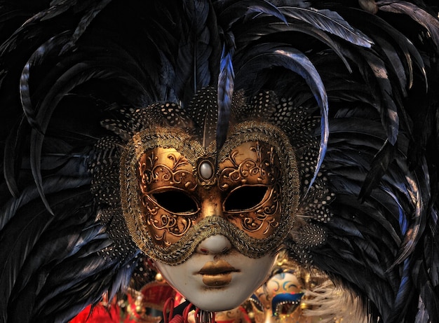 Close-up van het verenmasker